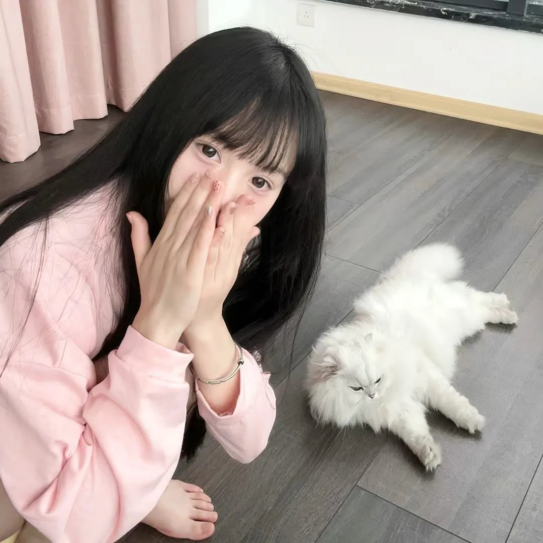 猛兽列车海报